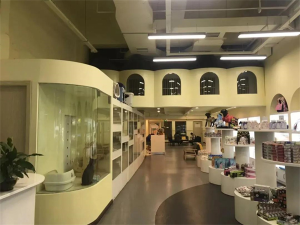 大唐娱乐官网-不凡成绩非凡,相信品牌的实力