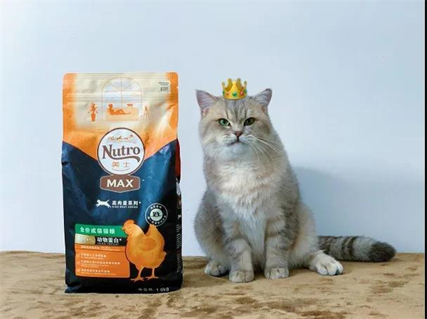 大唐娱乐官网-不凡成绩非凡,相信品牌的实力