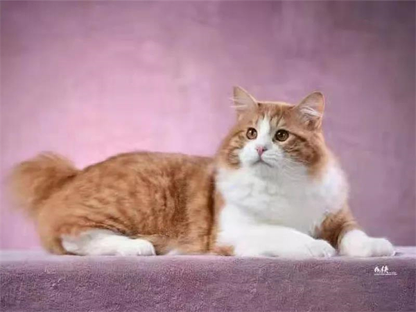 大唐娱乐官网-不凡成绩非凡,相信品牌的实力