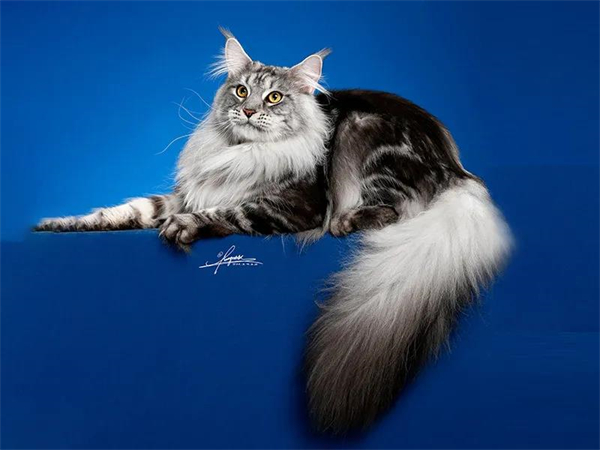 大唐娱乐官网-不凡成绩非凡,相信品牌的实力