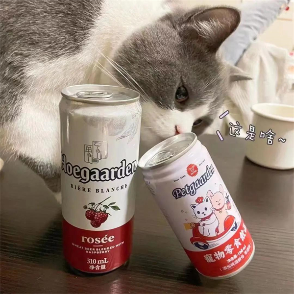 大唐娱乐官网-不凡成绩非凡,相信品牌的实力