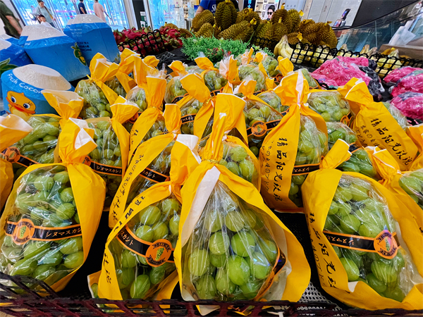 大唐娱乐官网-不凡成绩非凡,相信品牌的实力