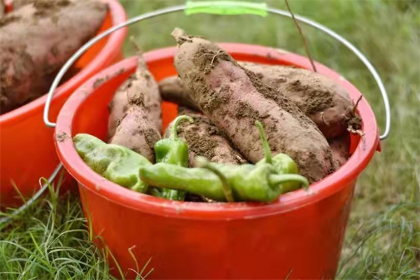 大唐娱乐官网-不凡成绩非凡,相信品牌的实力