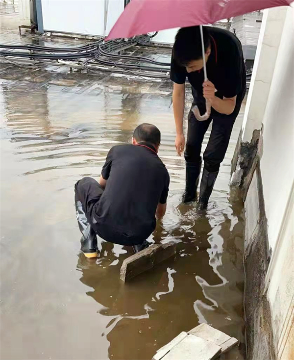 大唐娱乐官网-不凡成绩非凡,相信品牌的实力