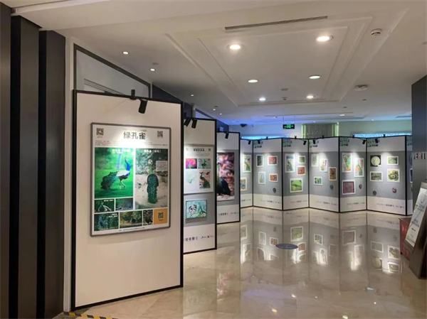 大唐娱乐官网-不凡成绩非凡,相信品牌的实力