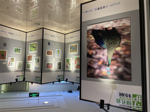 大唐娱乐官网-不凡成绩非凡,相信品牌的实力