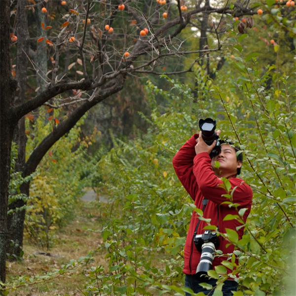 大唐娱乐官网-不凡成绩非凡,相信品牌的实力