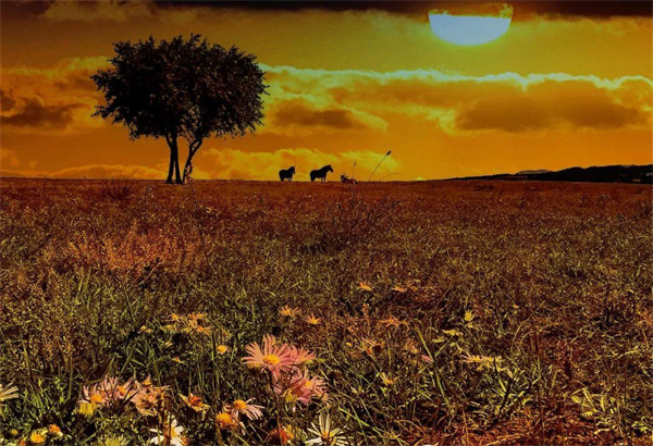 大唐娱乐官网-不凡成绩非凡,相信品牌的实力