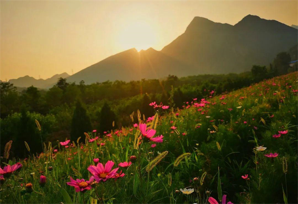 大唐娱乐官网-不凡成绩非凡,相信品牌的实力