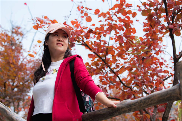 大唐娱乐官网-不凡成绩非凡,相信品牌的实力