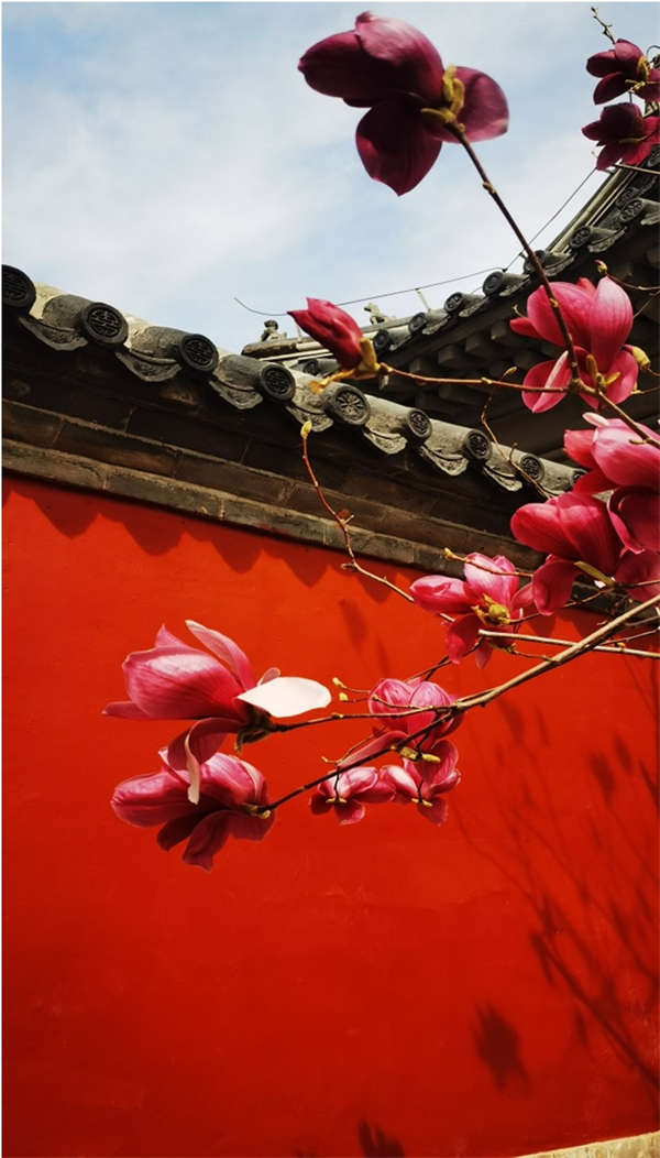 大唐娱乐官网-不凡成绩非凡,相信品牌的实力