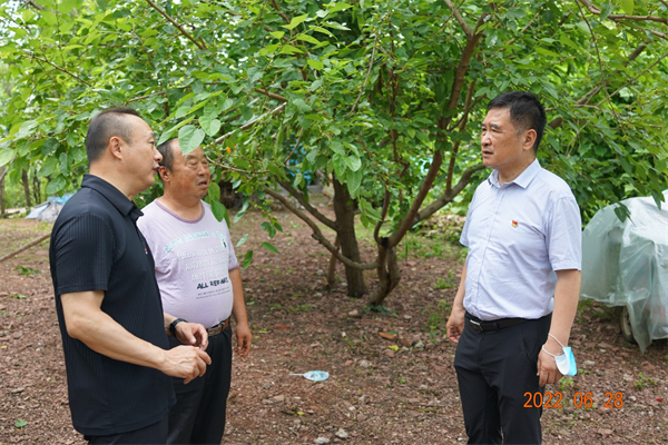 大唐娱乐官网-不凡成绩非凡,相信品牌的实力