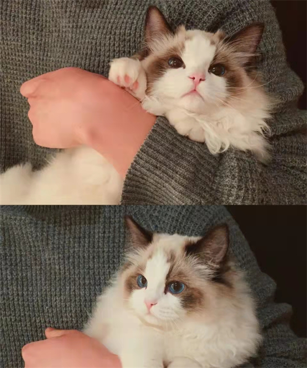 大唐娱乐官网-不凡成绩非凡,相信品牌的实力